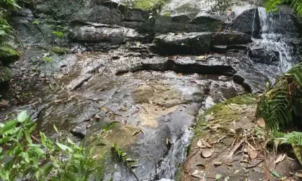 Chácara / sítio com 3 quartos à venda na Zona Rural, Rio do Oeste 