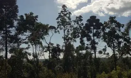 21.788m2/2,500 metros estrada da graciosa/ideal para investidor/airbnb