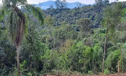 21.087m2/1.500 m estrada graciosa/linda vista serra mar/ideal airbnb