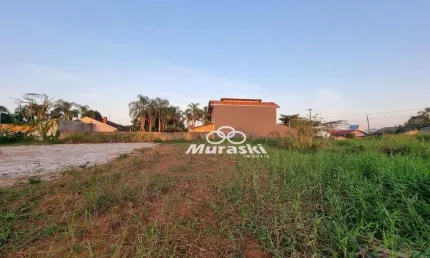Terreno à venda, 390 m² por R$ 330.000,00 - Eliana - Guaratuba/PR
