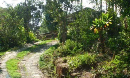 Chácara com 2 dormitórios à venda, 1000 m² por R$ 380.000,00 - Ponunduva - Cajamar/SP