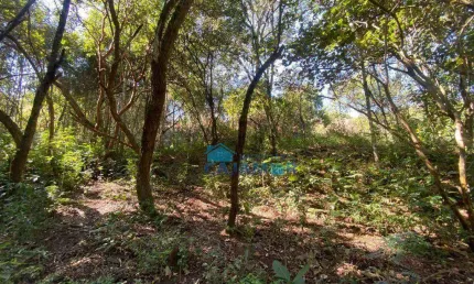 Terreno à venda, 3300 m² por R$ 250.000 - Ponunduva - Cajamar/SP
