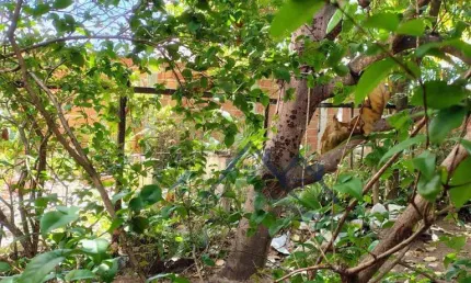 Terreno à venda em Aracaju-SE, Zona de Expansão (Aruana) com 240 m² de área - Aproveite essa oportunidade!