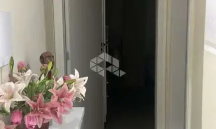 Casa com 2 quartos à venda na Rua Nardy Souza, 77, Forquilhas, São José