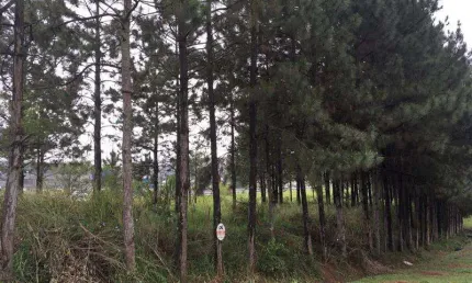 Terreno comercial para alugar na Rua Cristal, sn, Jardim Jóia, Arujá
