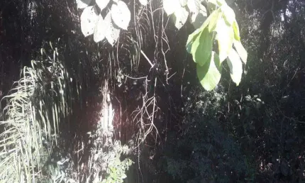 Terreno à venda na Rua Maranhão, S/N, Arujázinho I, II e III, Arujá
