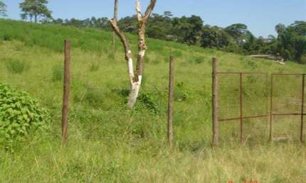 Terreno à venda na Estrada do Corredor, S/N, Jardim Paineira, Itaquaquecetuba