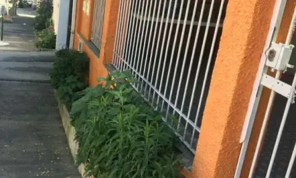 Casa à venda no jardim eulina: 5 quartos e 4 vagas em campinas-sp