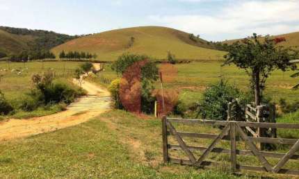 Fazenda de leite e corte 105 alqueires para venda - Bairro dos Macacos
