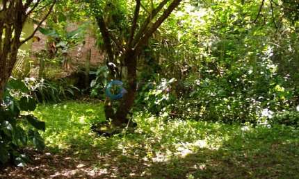 Fazenda à venda na Rua Antonio Pereira Cobra, 131, Jardim Olympia, Jacareí