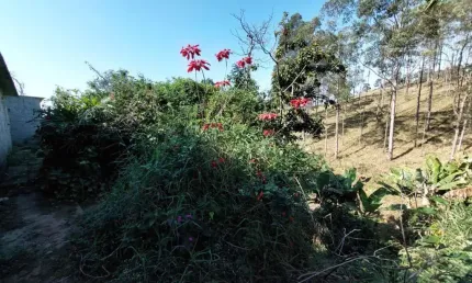 Chácara para Venda em Mogi das Cruzes, Residencial Novo Horizonte, 1 dormitório, 1 banheiro