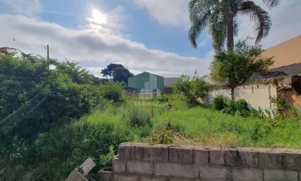 Terreno à venda, 420 m² por R$ 530.000,00 - Afonso Pena - São José dos Pinhais/PR