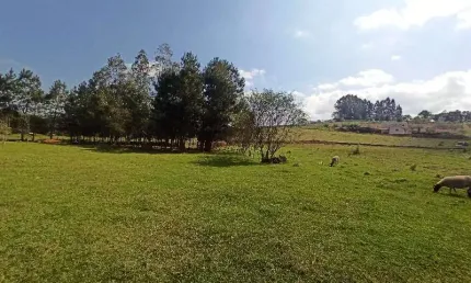 Terreno à venda na Linha Colonia Cella, Interior, Chapecó por R$ 900.000