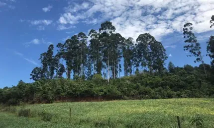 Terreno à venda na Linha Tafona, Interior, Chapecó por R$ 1.915.000