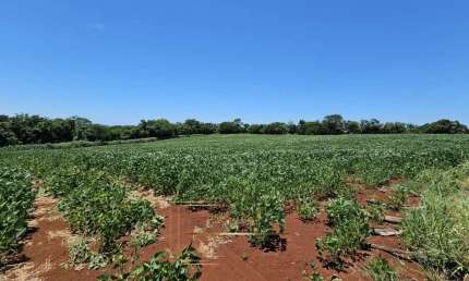 Chácara / sítio com 1 quarto à venda na Rodovia Br 369, s/n, Zona Rural, Jataizinho