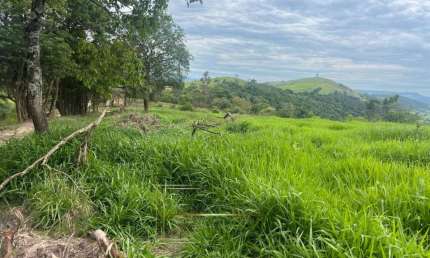 Chácara / sítio com 1 quarto à venda na Rod. Avelino Vieira Br 272, s/n, Zona Rural, Tomazina