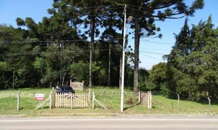 Terreno à venda na Rua Prefeito Romualdo Sobocinski, 1899, Campo Redondo, Araucária