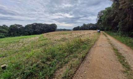 Terreno à venda na Rua Rua Augusto Borkowski, S/N°, Campina das Pedras, Araucária