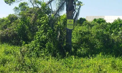 Terreno em Praia para Venda em Balneário Barra do Sul, Salinas