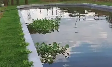 Fazenda à venda no Bairro dos Pires, Limeira 