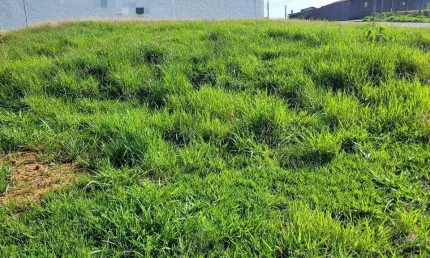 Terreno à venda no Jardim Residencial Campo Novo, Limeira 