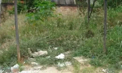 Terreno à venda no Centro, Limeira 