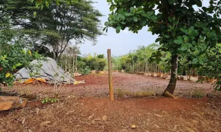Chácara / sítio à venda na Área Rural de Limeira, Limeira 
