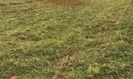 Chácara / sítio à venda no Bairro dos Pires, Limeira 