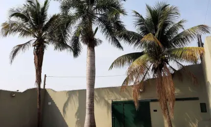 Casa com 1 quarto à venda no Jardim Santa Eulália, Limeira 
