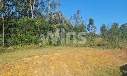 Terreno à venda na Vila Floresta, Criciúma 