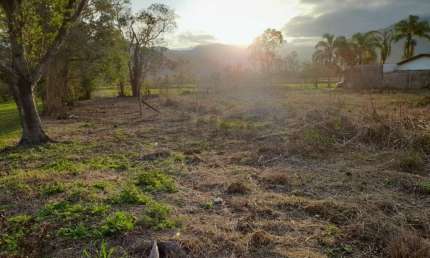 Terreno à venda na Vila Maria, Nova Veneza 