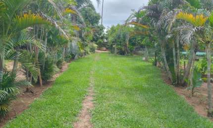 Chácara / sítio com 1 quarto à venda na Área Rural de Uberlândia, Uberlândia 