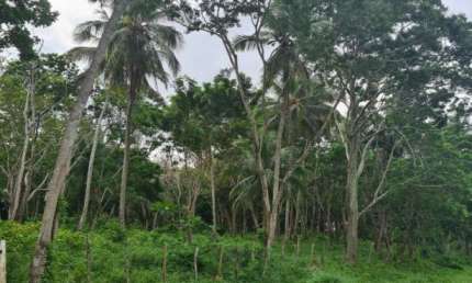Terreno à venda na Abrantes, Abrantes, Camaçari por R$ 3.600.000