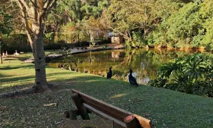 Terreno à venda na rua ouro preto, chácara das paineiras, carapicuíba - sp