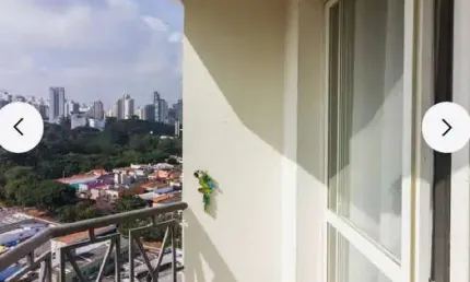 Apartamento à venda na rua pestana, vila guaca, são paulo - sp