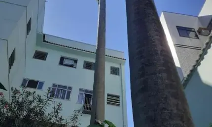Apartamento à venda na Rua Babaçu, Jardim Guanabara, Rio de Janeiro - RJ