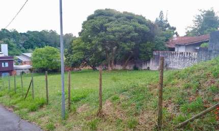 Terreno à venda na Avenida Dona Cherubina Viana, Vila Santo Antônio, Cotia - SP