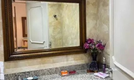 Apartamento para alugar na Rua Professor José Horácio Meirelles Teixeira, Vila Suzana, São Paulo - SP
