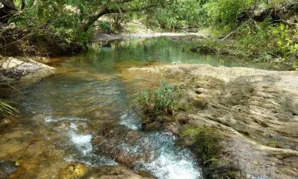 Fazenda à venda no Centro, Acorizal 