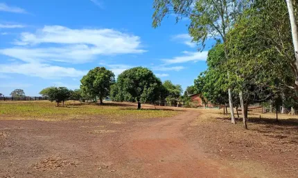 Fazenda 1.100 hectares dupla aptidão próximo a cuiabá