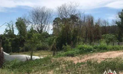 Terreno comercial para alugar na Rua dos Crisântemos, Jardim Cuiabá, Cuiabá