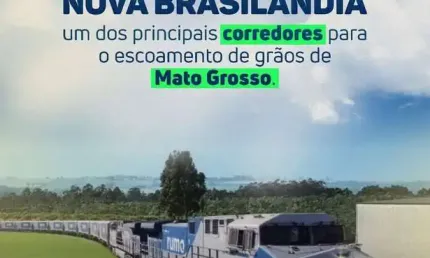 Fazenda 366 hectares dupla Aptidão a 50 km de Campo verde para plantio soja