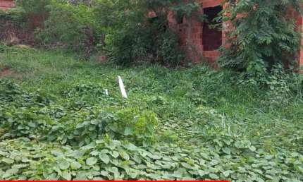 Vende-se lote residencial no Bairro Jardim Umuarama