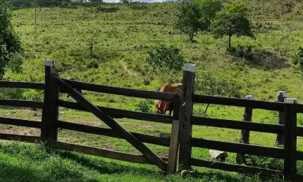 Fazenda à venda na Zona Rural, Poconé 