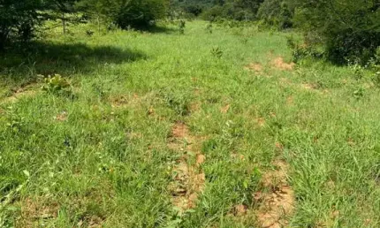 Fazenda à venda na Zona Rural, Taipas do Tocantins 