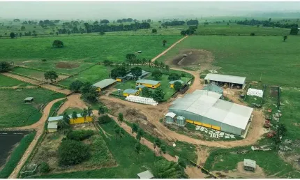Fazenda a venda com Dupla Aptidão Região de Juara MT