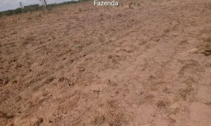 Fazenda à venda na Zona Rural, Nova Brasilândia 