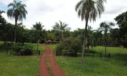 Chácara / sítio à venda na Zona Rural, Campinápolis 