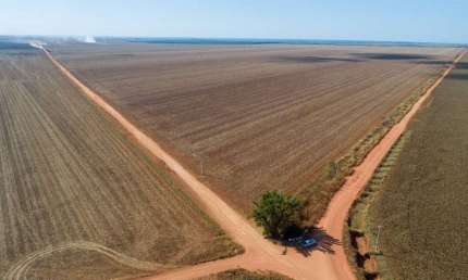Fazenda em atividade de  plantio em Campo Novo dos Parecis