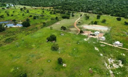 Fazenda à venda na zona rural, nossa senhora do livramento 